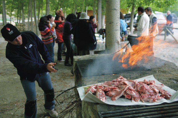 Barbacoa Casa Rural El Geco Verde