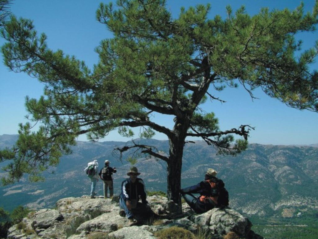 el geco verde entorno actividades 31 Casa Rural El Geco Verde