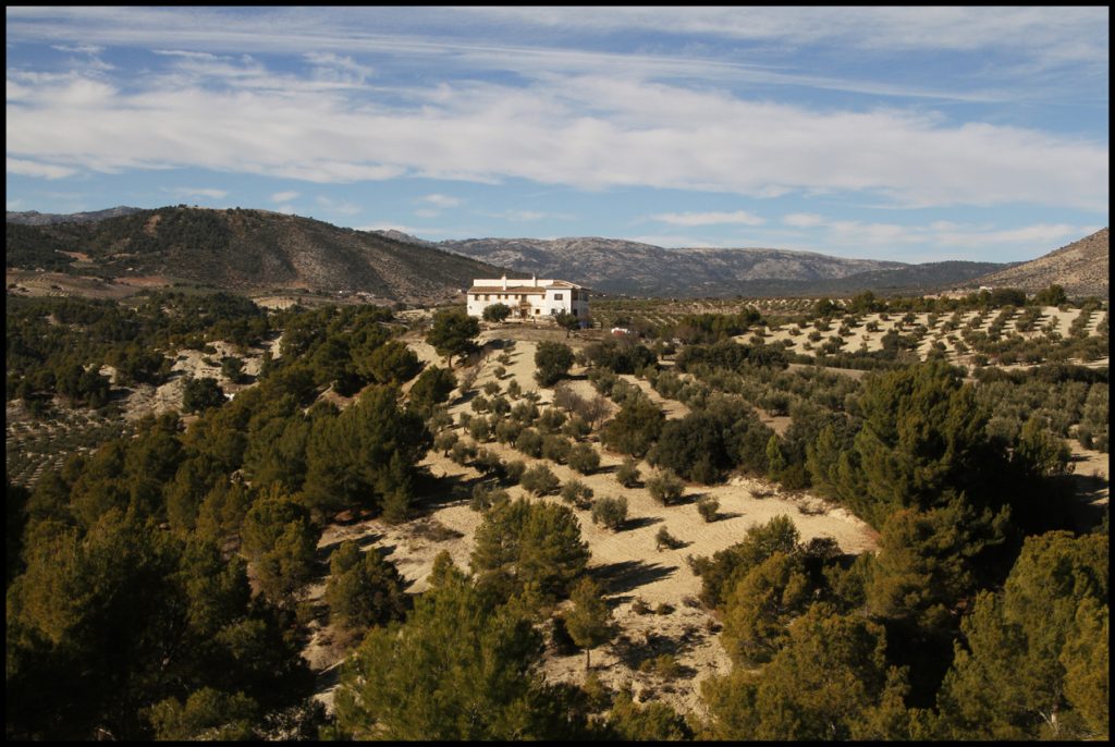 Casa Rural El Geco Verde en Castril